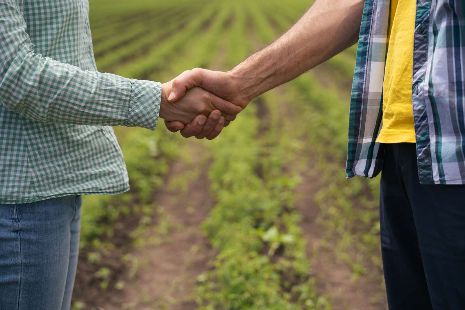 Farmers shaking hands making a deal on land