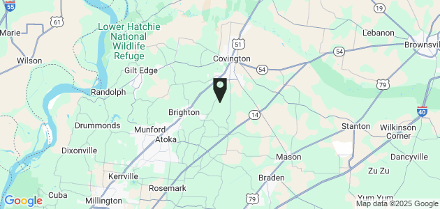 Property position on map