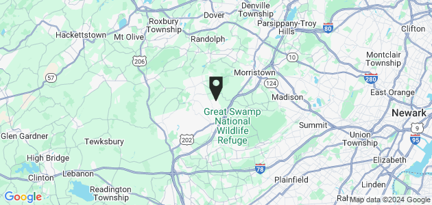 Property position on map